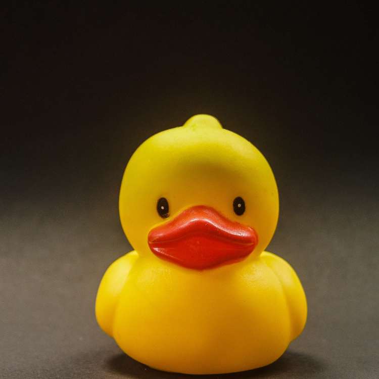 Bath Toys